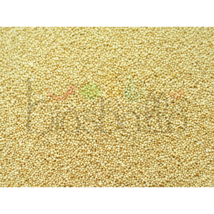 Amaranto in chicchi 1kg