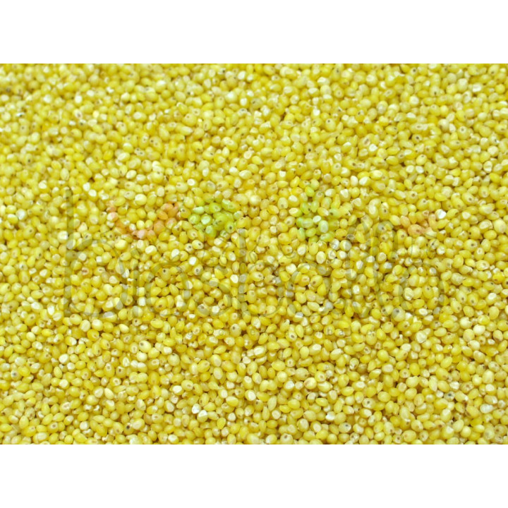 Miglio in chicchi decorticato 1kg