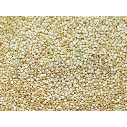 Quinoa biologica in chicchi 1kg