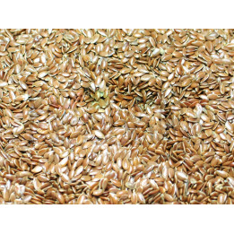 Semi di Lino 250g