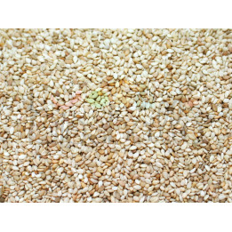 Semi di Sesamo 250g