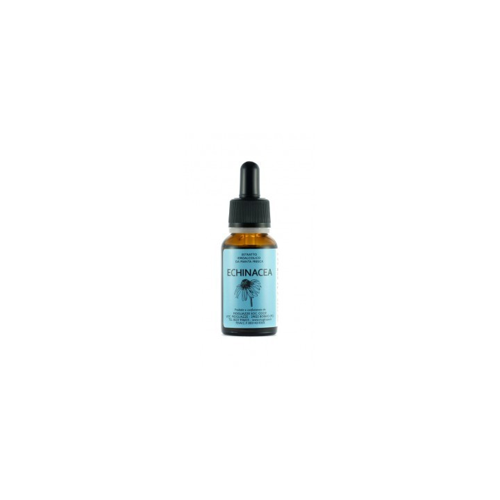 Echinacea Tintura Madre 20ml