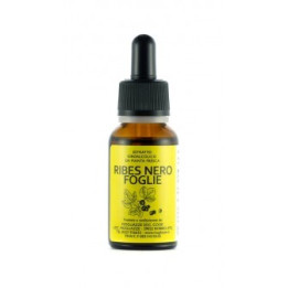 Ribes Nero foglie Tintura Madre 20ml