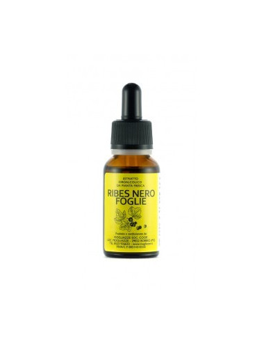 Ribes Nero foglie Tintura Madre 20ml