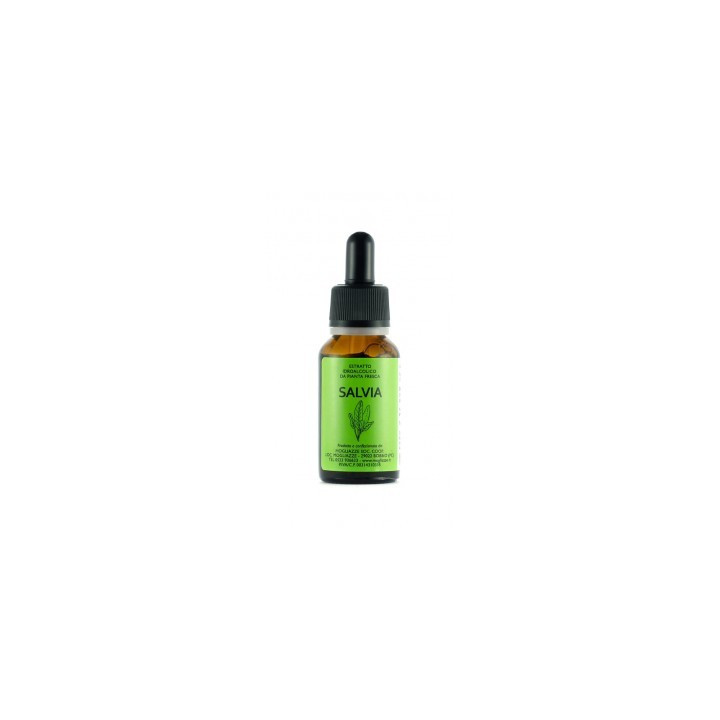 Salvia Tintura Madre 20ml