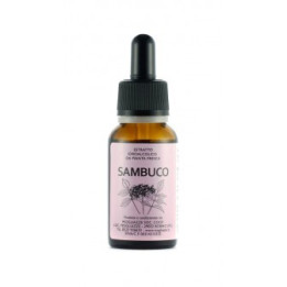 Sambuco Tintura Madre 20ml