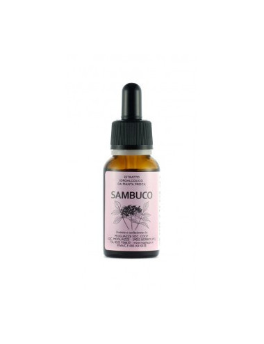 Sambuco Tintura Madre 20ml