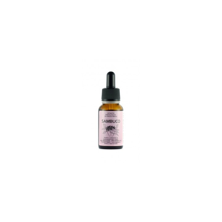 Sambuco Tintura Madre 20ml