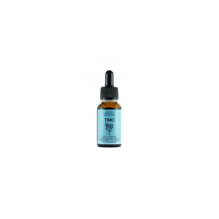 Timo Tintura Madre 20ml