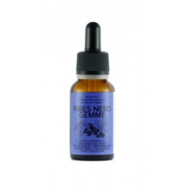 Ribes Nero gemme Gemmoderivato 20ml