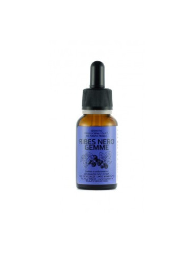 Ribes Nero gemme Gemmoderivato 20ml