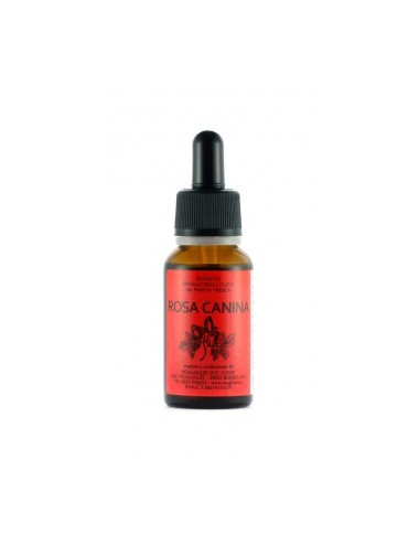 Rosa Canina Gemmoderivato 20ml