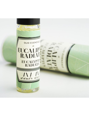 Olio Essenziale di Eucaliptus Radiata 8ml