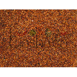 Quinoa rossa in chicchi 1kg