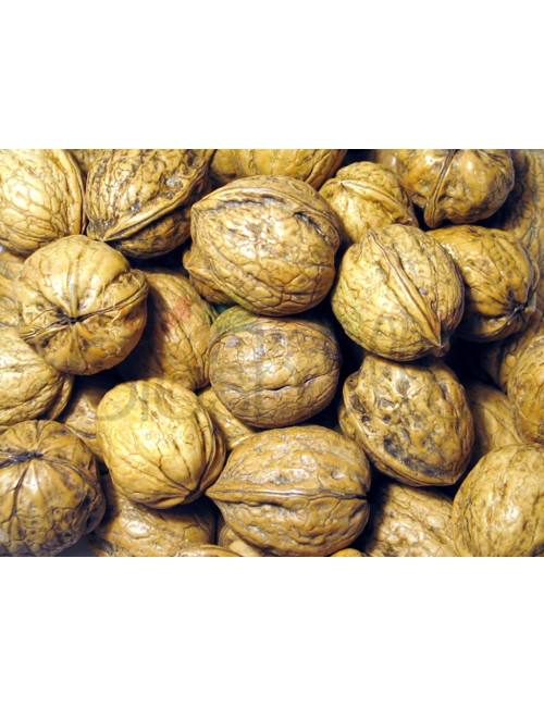 Noci Tulare 1kg