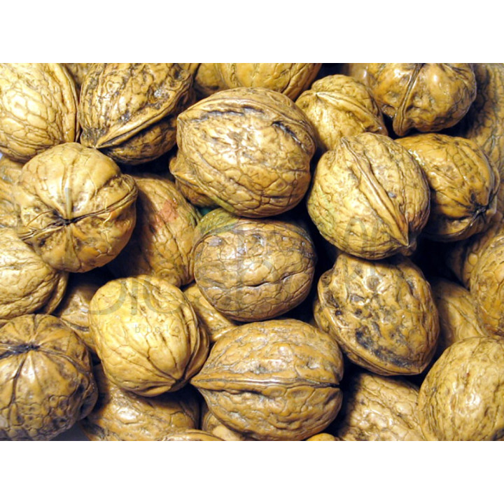 Noci Tulare calibro 34 1kg