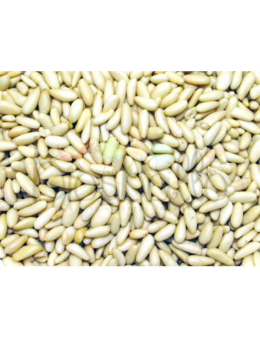 copy of Nocciole IGP Piemonte tostata 200g
