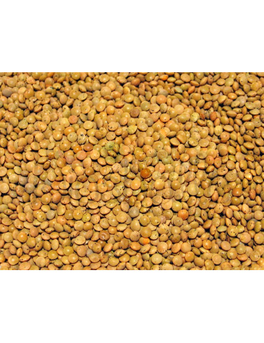 Lenticchie umbre - PRODOTTO SFUSO