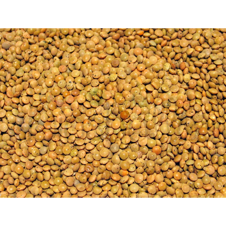 Lenticchie Occhio di Pernice 500g