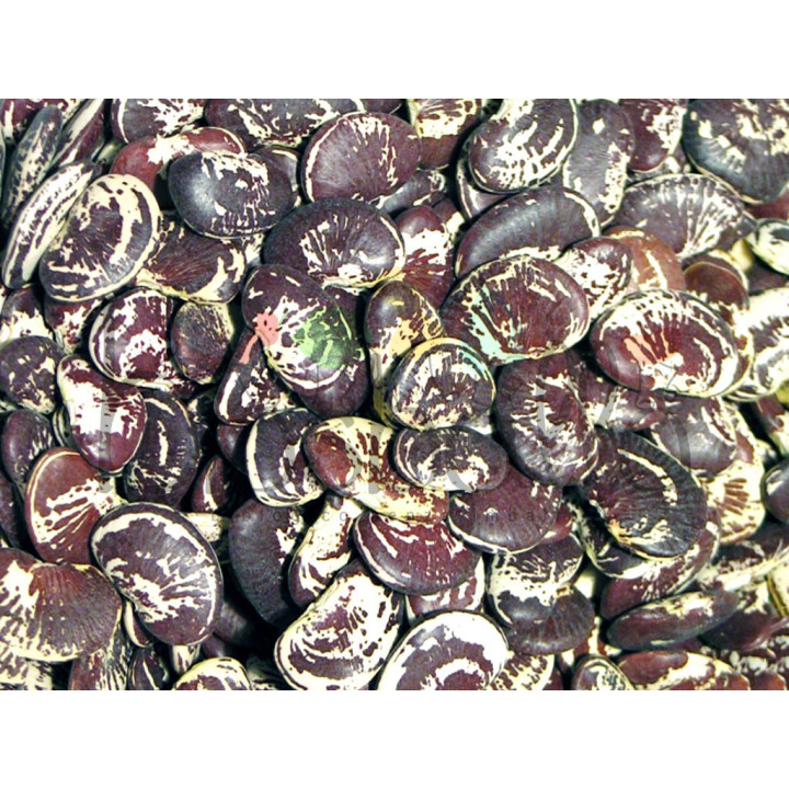 Fagioli di Lima 500g