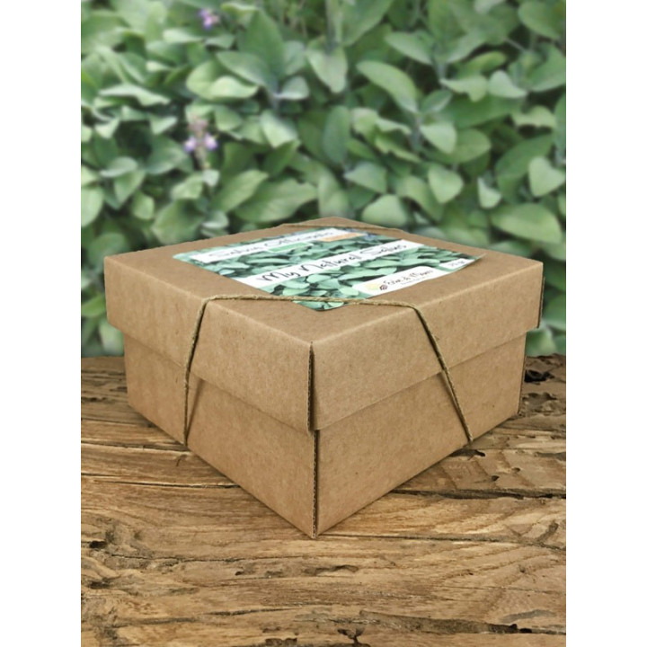 Salvia Officinalis, Tisana 70g