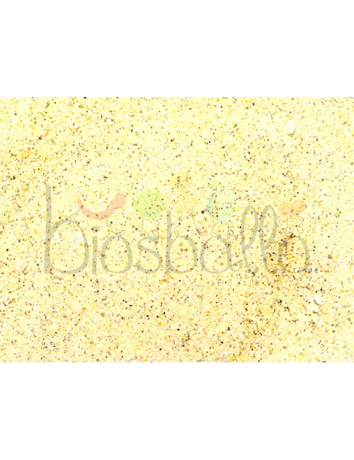 Farina di cicerchie decorticate 1kg