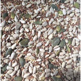 Semi di Girasole decorticati 250g