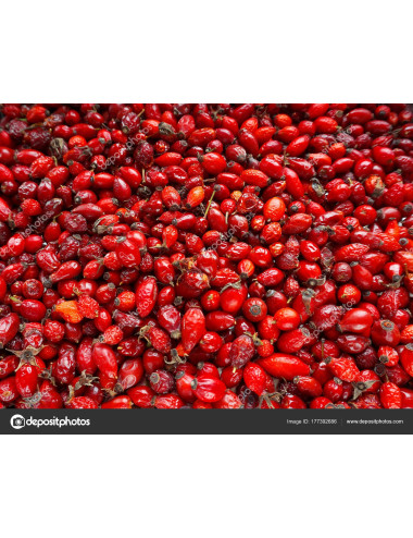 Cinorrodi secchi Rosa Canina - PRODOTTO SFUSO