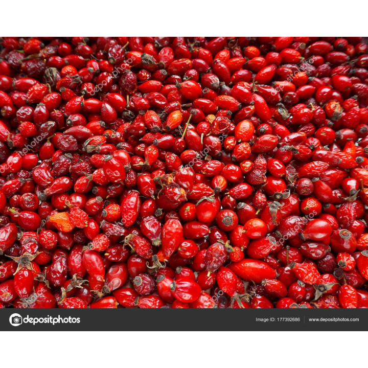 Infuso Rosa Canina 40g