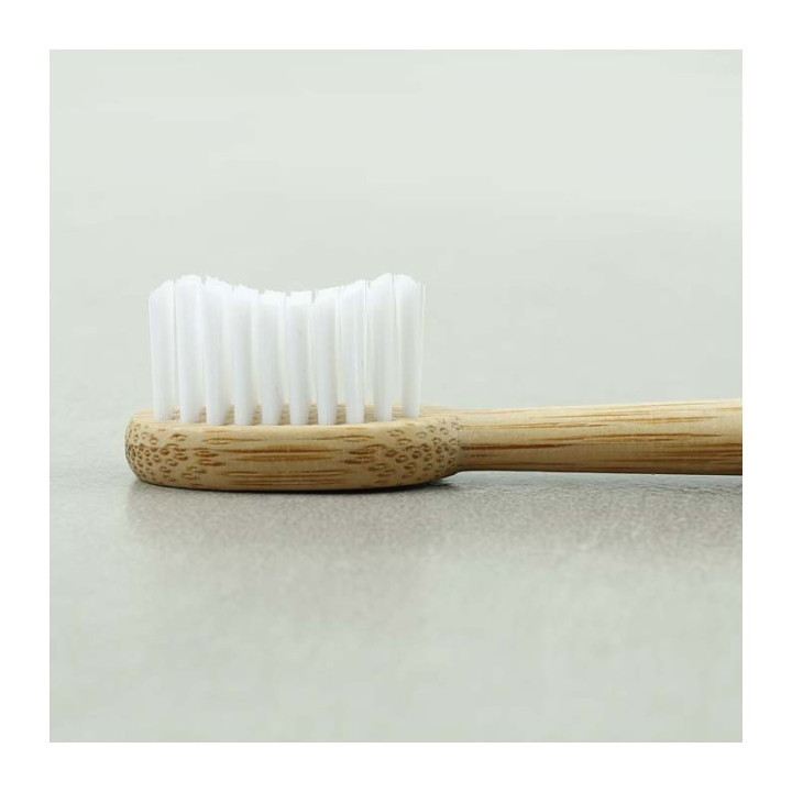 Spazzolino denti Adulti