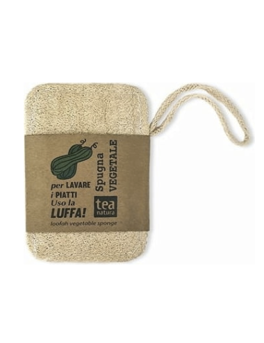 Luffa Spugna Vegetale per stoviglie e per la pelle