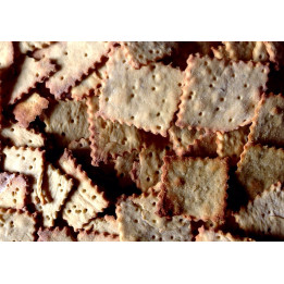 Tronchetti di lenticchie con finocchio 300g