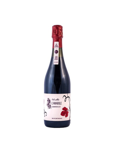 copy of Chianti docg senza solfiti 75cl