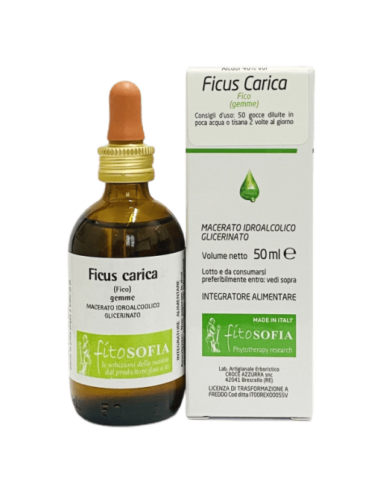 Ficus carica Tintura Madre