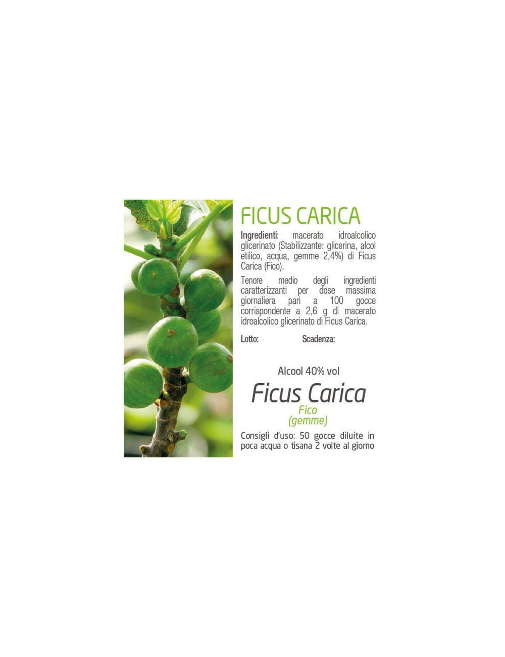 Ficus carica Tintura Madre