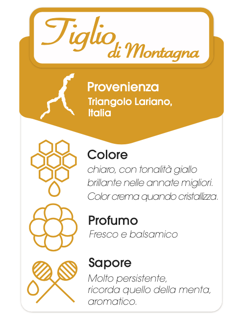 Miele di tiglio di montagna 500g