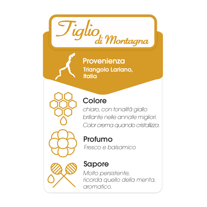 Miele di tiglio 500g