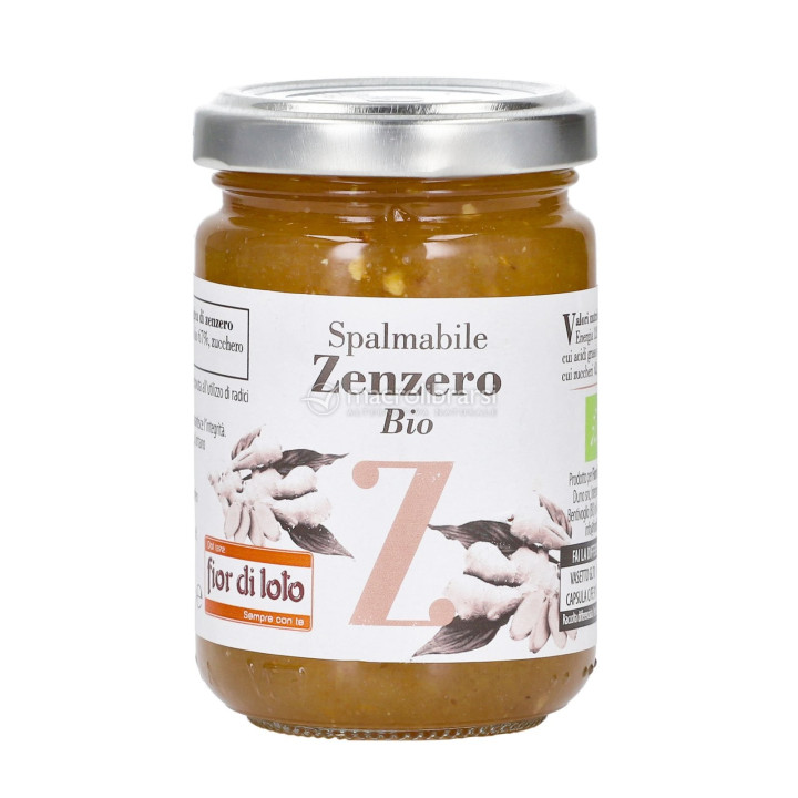 Zenzero spalmabile 190g