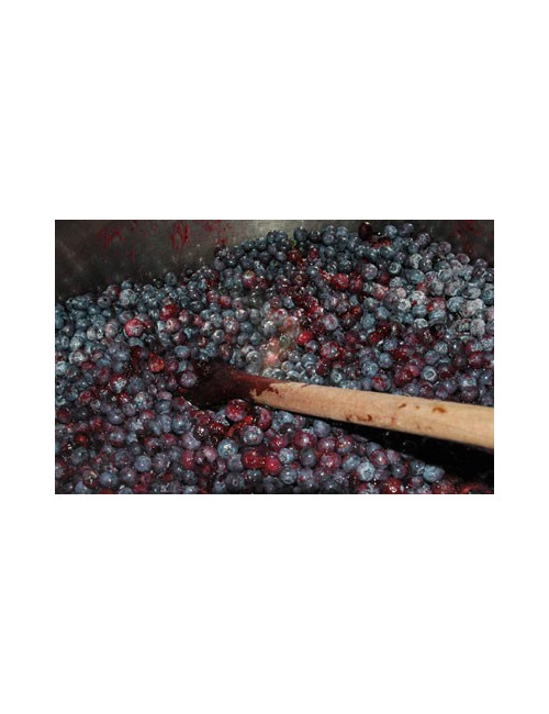 Confettura di Uva fragola nera 330g