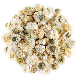 Camomilla romana fiori - PRODOTTO SFUSO