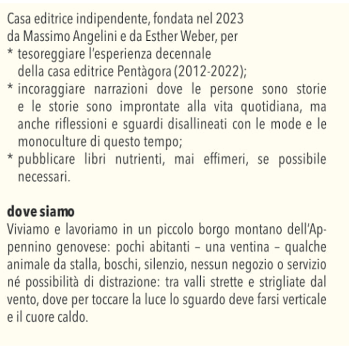 Libro "Il cuore delle formiche" di Zena Roncada"