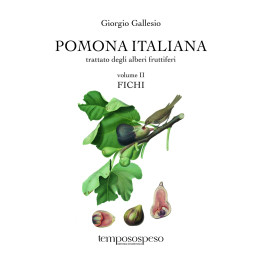 copy of Libro Il pane degli angeli di Cristina Meneguzzo