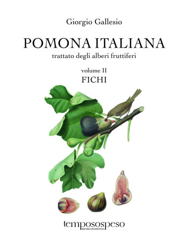 Libro "Pomona italiana - Fichi" di Giorgio Gallesio