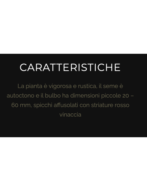 Aglio di Caraglio Slow Food resta 7 teste