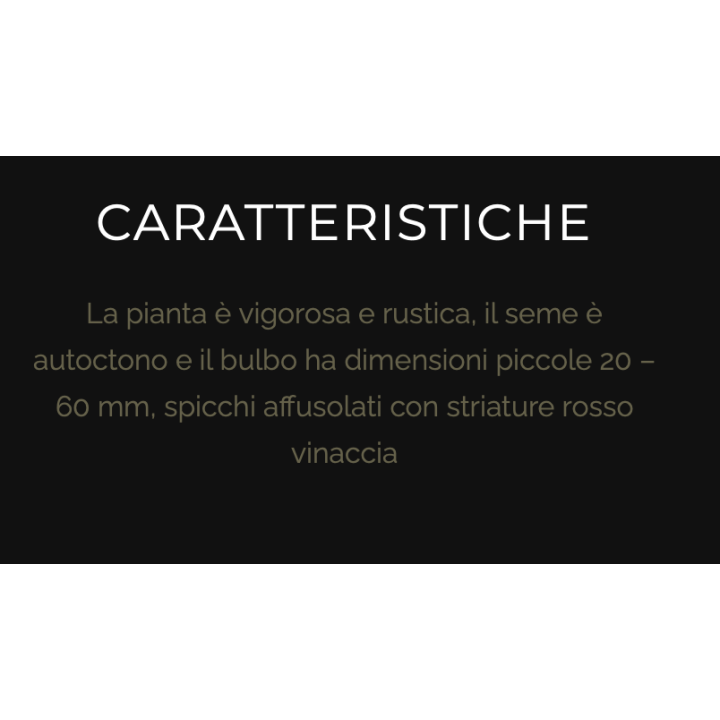copy of Resta di 13 teste di aglio di Vessalico cal. 40/50