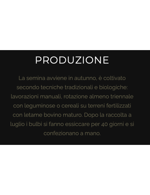 Aglio di Caraglio Slow Food resta 7 teste