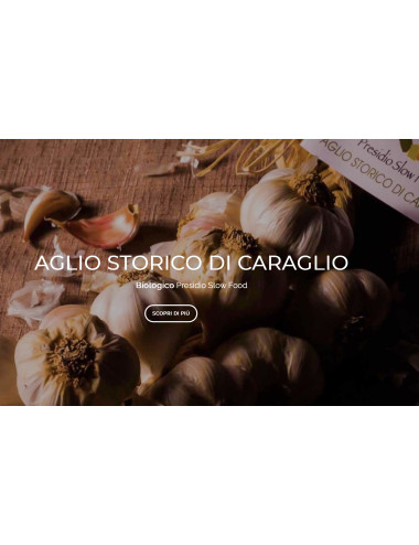 Aglio di Caraglio Slow Food resta 7 teste