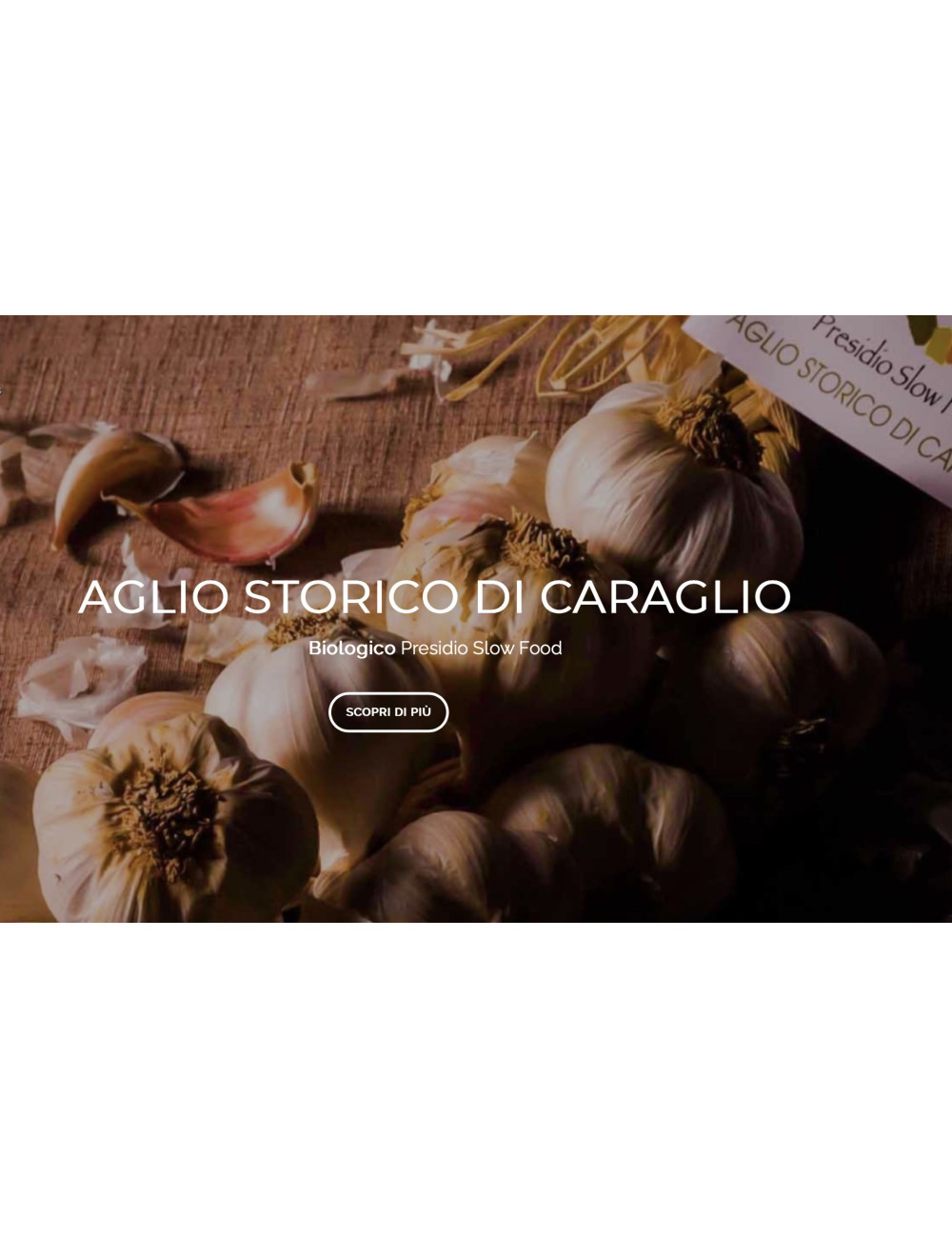 Aglio di Caraglio Slow Food resta 7 teste
