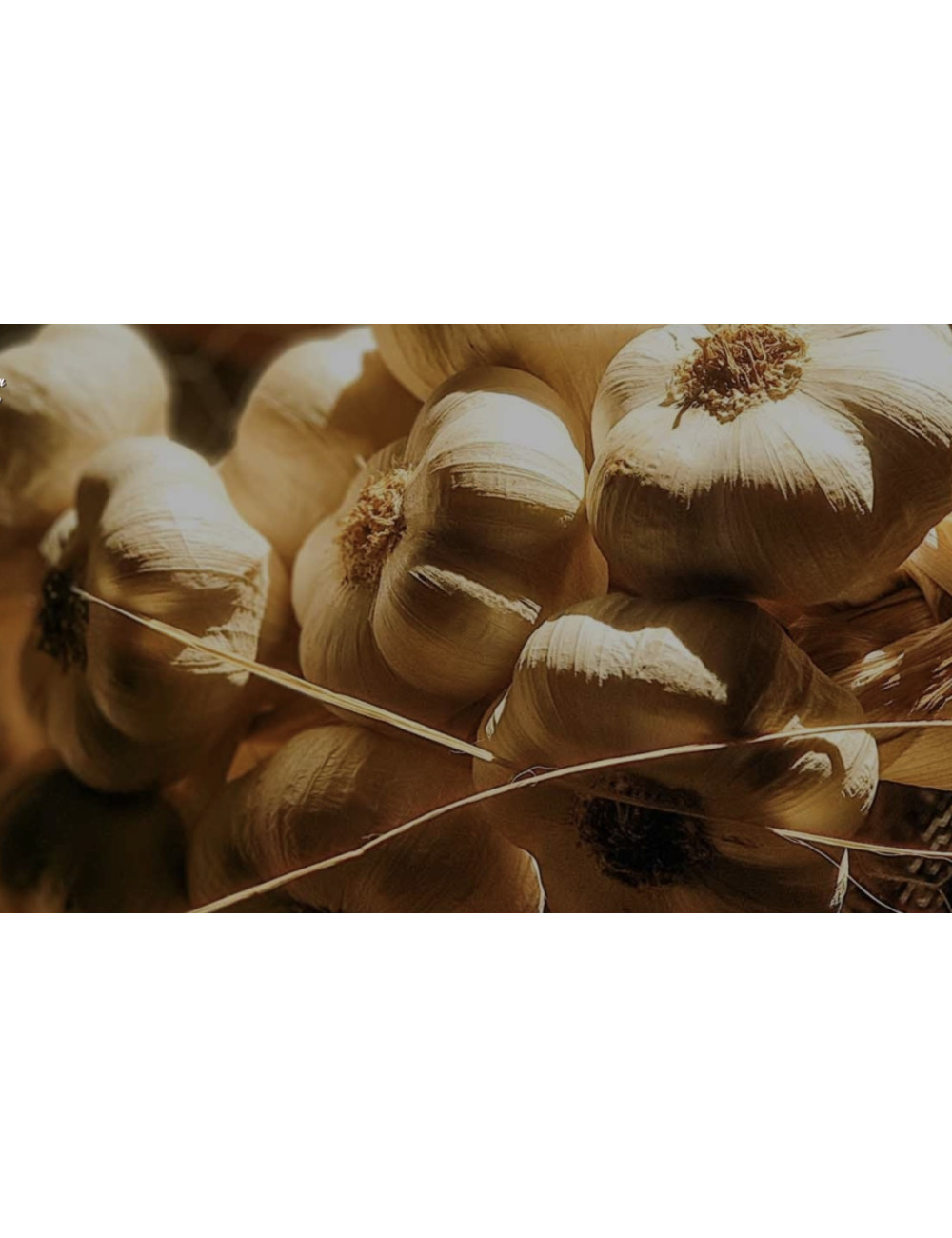 Aglio di Caraglio Slow Food resta 7 teste