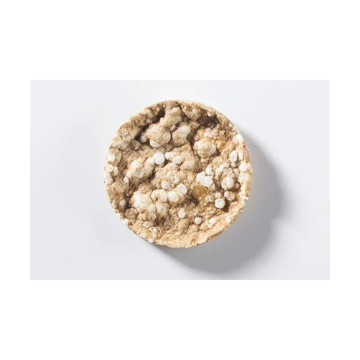 Snack di quinoa al rosmarino 30g